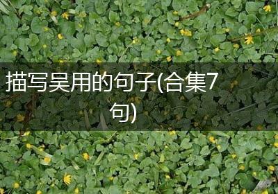 描写吴用的句子(合集7句)