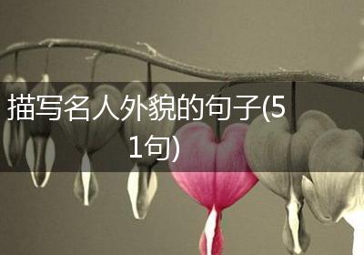 描写名人外貌的句子(51句)