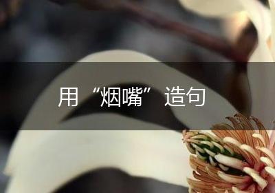 用“烟嘴”造句