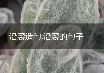 沿袭造句,沿袭的句子