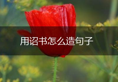 用诏书怎么造句子