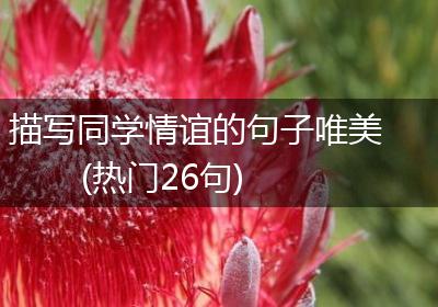描写同学情谊的句子唯美(热门26句)
