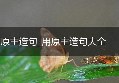 原主造句_用原主造句大全