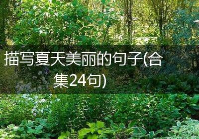 描写夏天美丽的句子(合集24句)