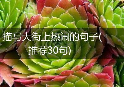描写大街上热闹的句子(推荐30句)