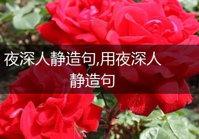 夜深人静造句,用夜深人静造句