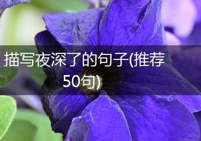 描写夜深了的句子(推荐50句)