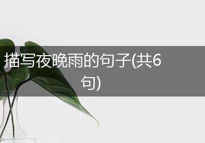 描写夜晚雨的句子(共6句)