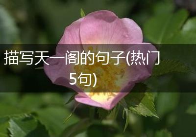 描写天一阁的句子(热门5句)