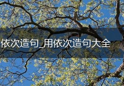 依次造句_用依次造句大全