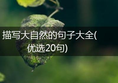 描写大自然的句子大全(优选20句)