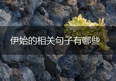 伊始的相关句子有哪些