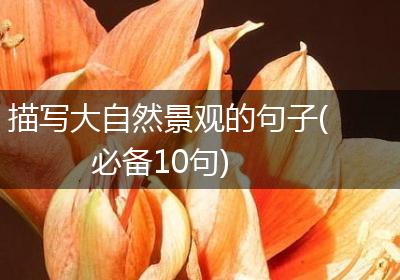 描写大自然景观的句子(必备10句)