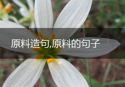 原料造句,原料的句子