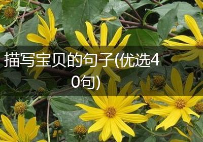 描写宝贝的句子(优选40句)