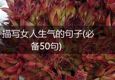 描写女人生气的句子(必备50句)