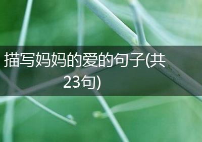 描写妈妈的爱的句子(共23句)