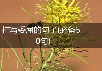 描写委屈的句子(必备50句)