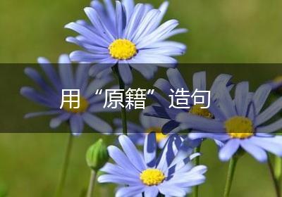 用“原籍”造句