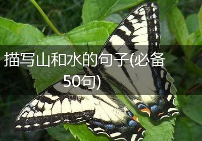 描写山和水的句子(必备50句)