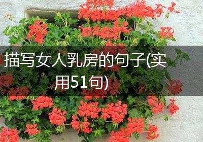 描写女人乳房的句子(实用51句)