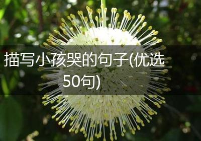 描写小孩哭的句子(优选50句)