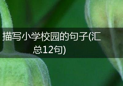 描写小学校园的句子(汇总12句)