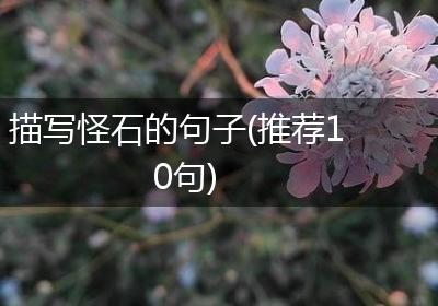 描写怪石的句子(推荐10句)