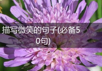 描写微笑的句子(必备50句)