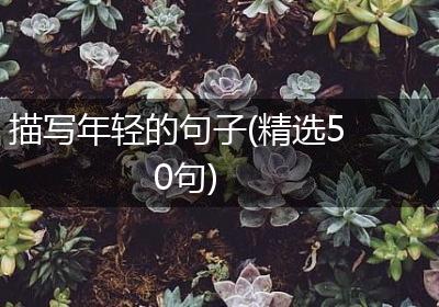 描写年轻的句子(精选50句)