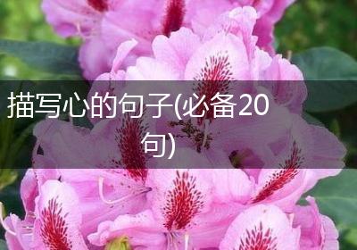 描写心的句子(必备20句)