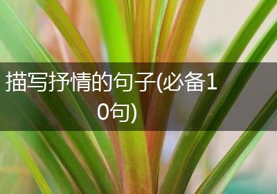 描写抒情的句子(必备10句)