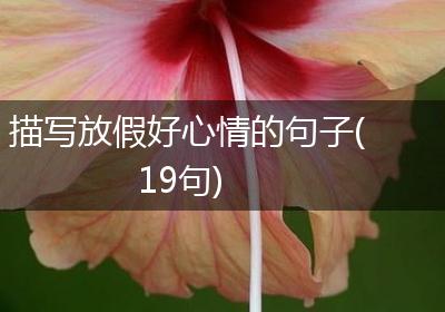 描写放假好心情的句子(19句)