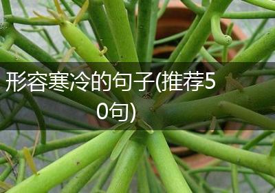 形容寒冷的句子(推荐50句)