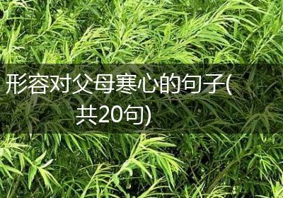 形容对父母寒心的句子(共20句)