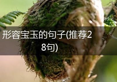 形容宝玉的句子(推荐28句)