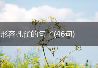 形容孔雀的句子(46句)