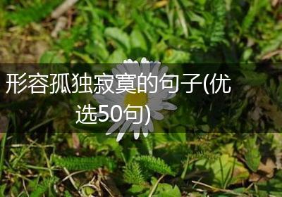形容孤独寂寞的句子(优选50句)