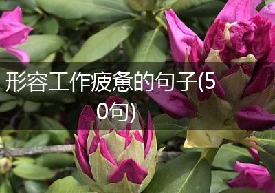 形容工作疲惫的句子(50句)