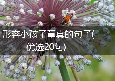 形容小孩子童真的句子(优选20句)