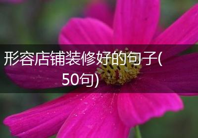 形容店铺装修好的句子(50句)
