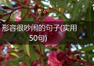 形容很吵闹的句子(实用50句)