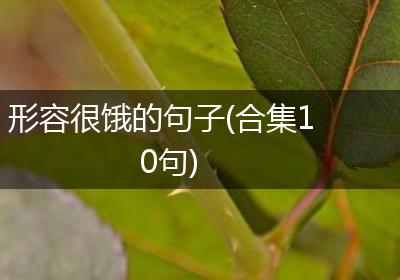 形容很饿的句子(合集10句)