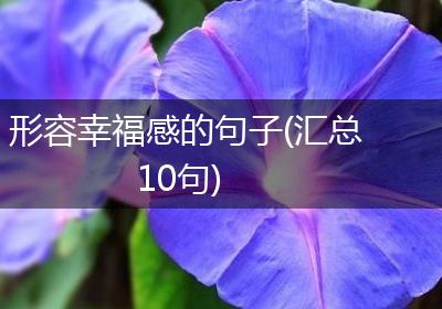 形容幸福感的句子(汇总10句)