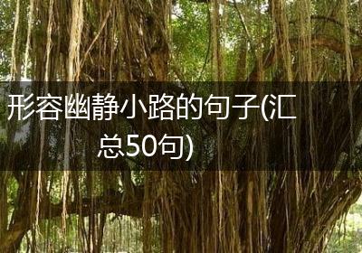 形容幽静小路的句子(汇总50句)