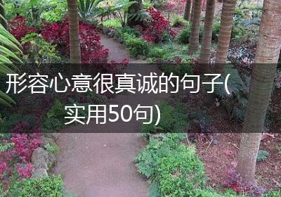 形容心意很真诚的句子(实用50句)