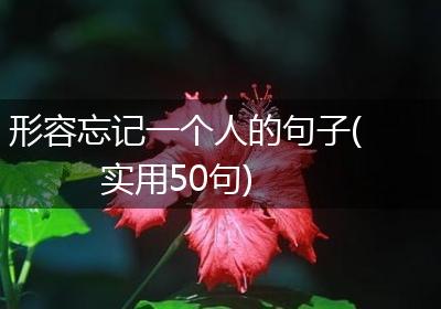 形容忘记一个人的句子(实用50句)