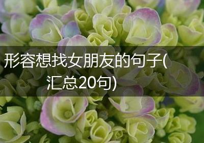 形容想找女朋友的句子(汇总20句)