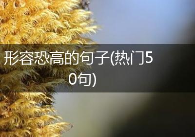 形容恐高的句子(热门50句)