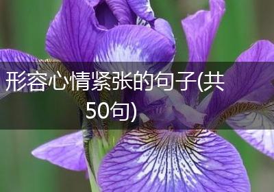 形容心情紧张的句子(共50句)
